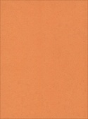 F6938 Orange Solidz