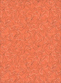 F6941 Coral Boomerang