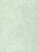 K5814 Primavera