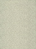K5955 Sidon