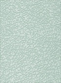 K5959 Glass