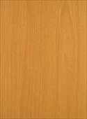 K6451 Fox Beech
