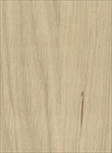 O032 / Américan Oak