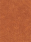 S095 / Stucco Cannelle - Influence 'Tendance' Range