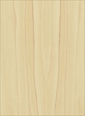 T047 / 	Tulipwood