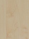 K7555 Manitoba Maple - RECODED