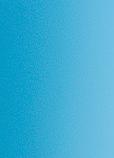 Laminate Bonding Service - F4168 Campanula 