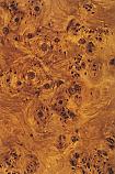 0352 Burled Amber Wood Fundamentals Laminate Range 
