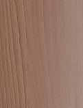 F5167 Copper Beech