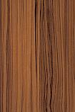 F5481 Oiled Olivewood