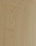 F2731 Sand Maple - Compact Laminate Range